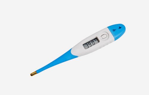 Thermometer