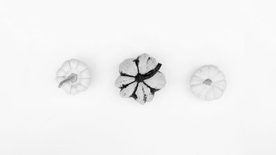 Petals