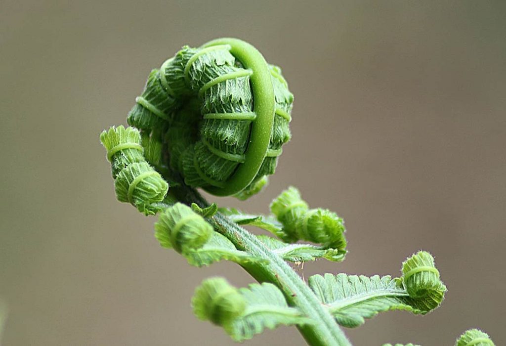 Cycling Training Tips: Train Like An Elite